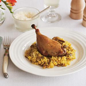 Sabato Duck Confit Best Sale Cheap Pice