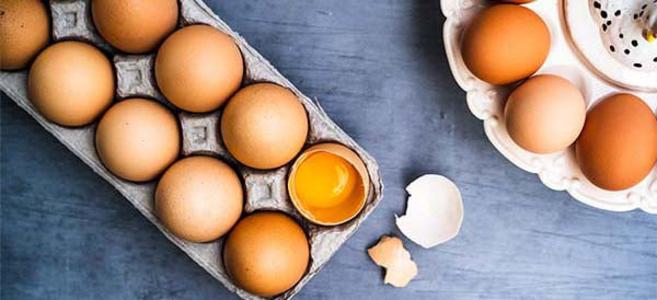 Pastured Chicken Eggs (4 dozen) Buy Cheap Pay With Visa