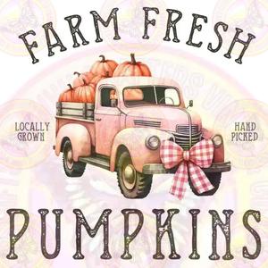 Farm Fresh Pumpkins Outlet For Nice