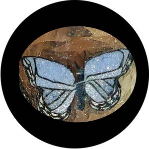Pastel blue butterfly milli Cheap Sale Low Pice Fee Shipping