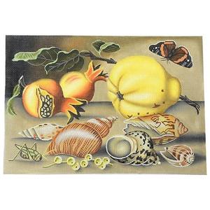Pears and Shells Outlet Reliable