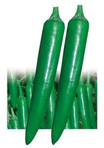 Hot Pepper-Shanti Low Pice Fee Shipping Online