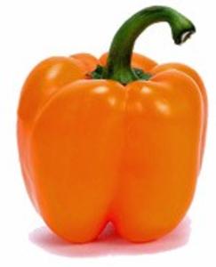 Bell Pepper-Narangi Factory Outlet For Sale