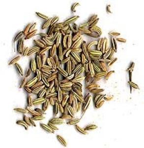 Fennel Cheap Sale 2025