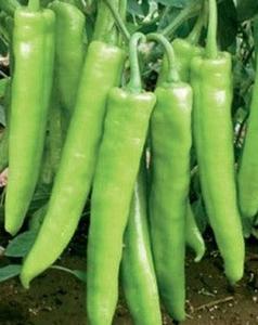 Hot Pepper-Hot Bhaji Discount High Quality