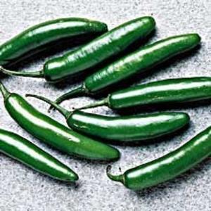 Hot Pepper-Serrano Fashionable Online