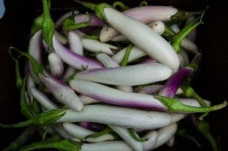 Eggplant-Bride Clearance Free Shipping
