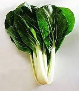 Bok Choy-Nee hao Free Shipping Cheap Real