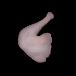 Turkey Leg -550g Outlet Great Deals