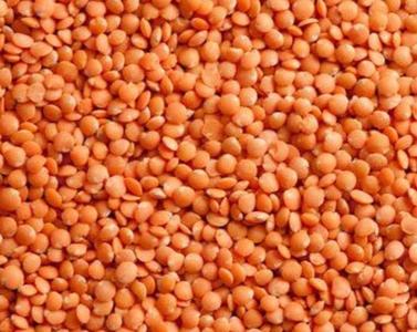 Red Lentils, 16oz Inexpensive