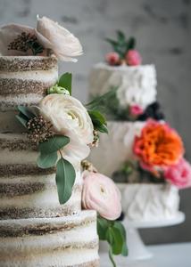 Torte i zeleni list For Cheap Sale Online