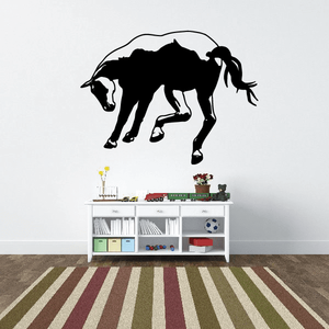 Kicking Horse Decal Buy Cheap Reliable