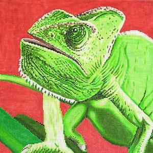 Chameleon For Cheap
