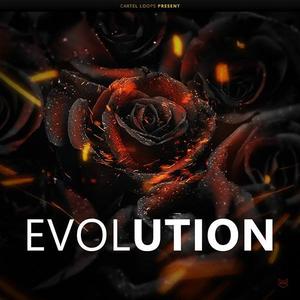 Evolution Release Dates Cheap Online