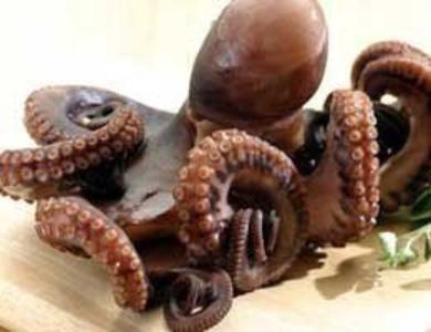 Whole Octopus 5-6 lb Cheap Sale Footaction