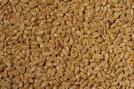 Whole Wheat, 16 oz (1 lb) bag Buy Cheap Best Pices
