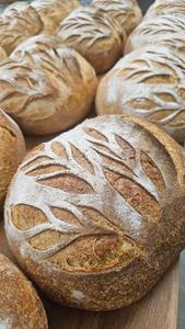 2 loaves of Sourdough for Family Day Footlocker Pictures Sale Online