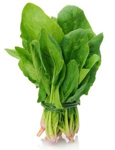 Spinach-Sagar Best Wholesale