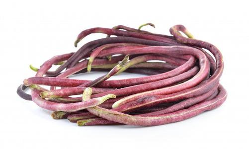 Red Noodle Looking For
