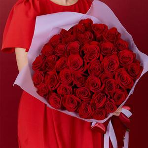 50 Red Roses Bouquet Free Shipping Best Store To Get