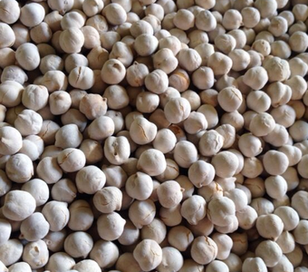 White Roasted Chick Peas 12 oz Deli Pack Cheap Sale New Arrival