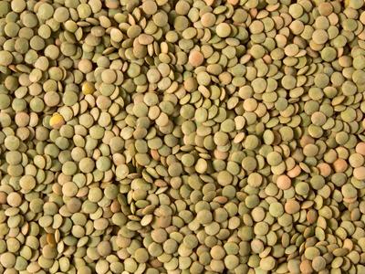 Whole Green Lentils, Small, 16oz Clearance Perfect