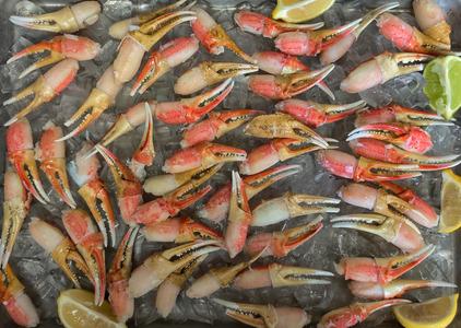 Snow Crab | Cocktail Claws Choice Cheap Pice