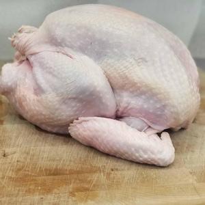 Whole Turkey | Turkey Valley Farms Buy Sale Online