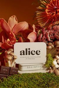 Brainstorm Mushroom Chocolate Amazing Pice
