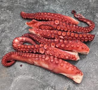 Jumbo Spanish Octopus Buy Cheap Low Shipping Fee