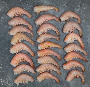 Key West Pink Shrimp | U10-12 Free Shipping Online