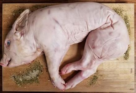 100% Iberico Cochinillo | Suckling Pig Discount Sale Online