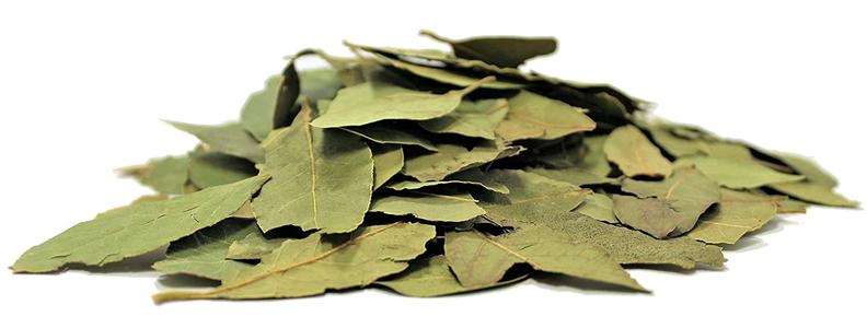 BAY LEAVES Clearance 2025