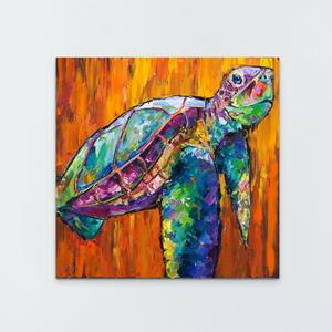 Tortuga Shop For Cheap Pice