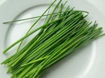 Boppas Herbs Eschalot Chives 30g Free Shipping Marketable