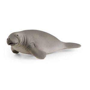 Manatee Cheap Sale Pay With Visa
