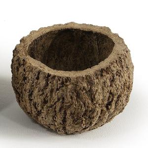 3" Natural Preserved Mayan Coconuts 10-Pack Buy Cheap Shop