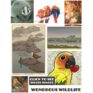 Wondrous Wildlife Prints Sale Browse