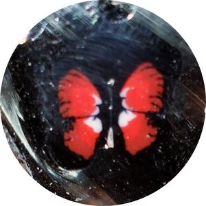Red Butterfly Milli Recommend Online