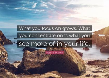 What you focus on grows New Arrival