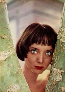 Carolyn Jones oci Outlet Clearance Store