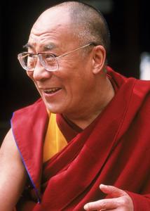 Dalai Lama crvena odora Wide Range Of Online