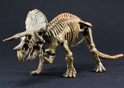 Arheologija dinosaurus Lowest Pice Cheap Pice