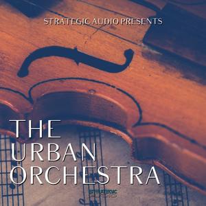 The Urban Orchestra Clearance Affordable