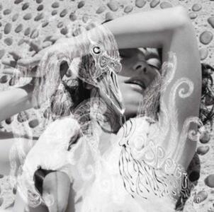 Vespertine Shop For Sale