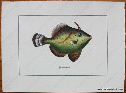 Le Chinois (Reproduction) Visit