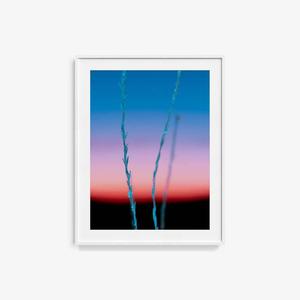 Untitled (Ojai 2) Discount Visit New