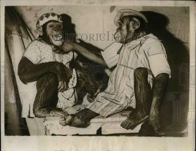1930 Press Photo Two Chimpanzee Hollywood Movie star. For Sale 2025