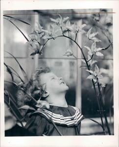 1936 Cymbidium Orchid Press Photo Free Shipping Comfortable
