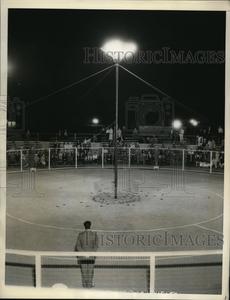 1932 Press Photo View of a turtle racing at the racing track in the film center Get Authentic Sale Online